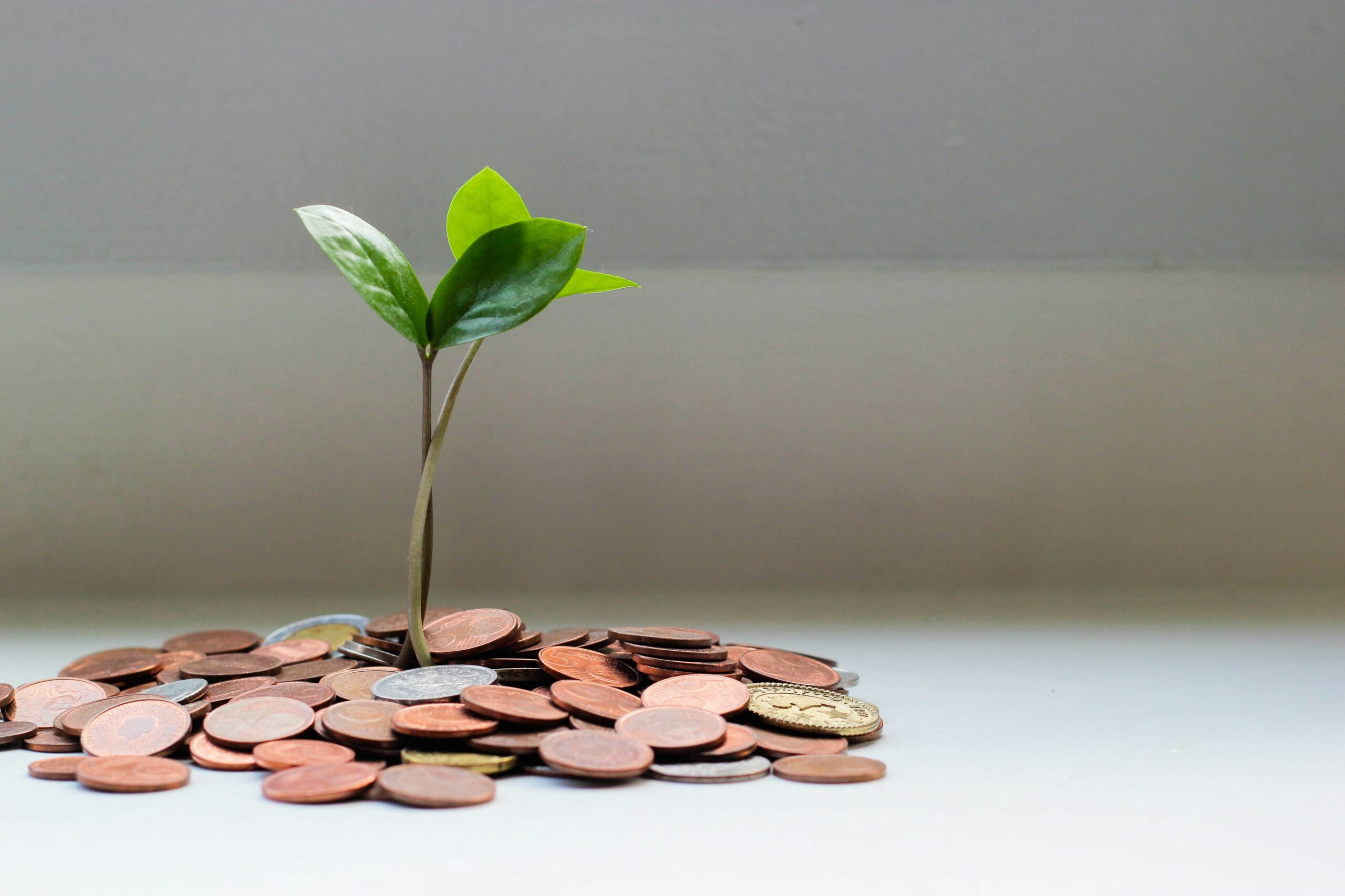 Small green plant growing on a pile of brown coins, symbolizing financial growth